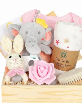 New Baby Gift Ideas